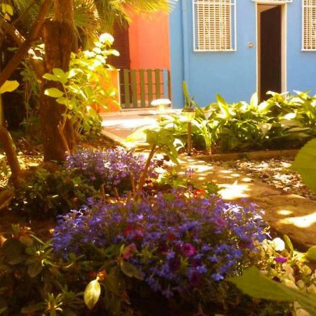 Eco B&B I Due Oleandri Marina Di Carrara Ngoại thất bức ảnh