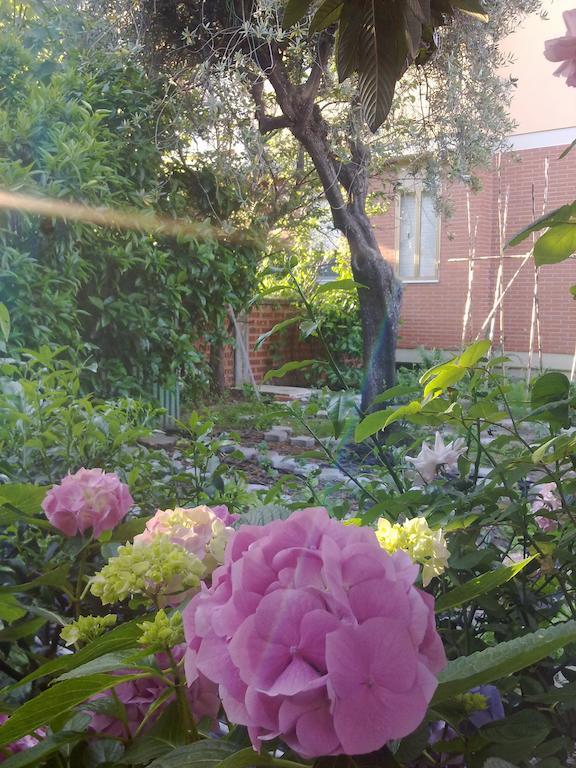 Eco B&B I Due Oleandri Marina Di Carrara Ngoại thất bức ảnh