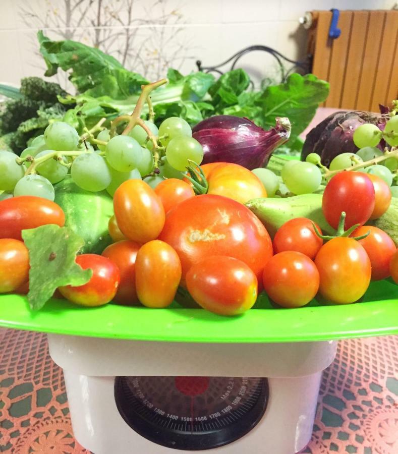 Eco B&B I Due Oleandri Marina Di Carrara Ngoại thất bức ảnh