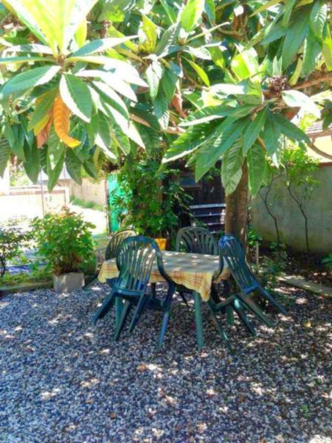 Eco B&B I Due Oleandri Marina Di Carrara Ngoại thất bức ảnh